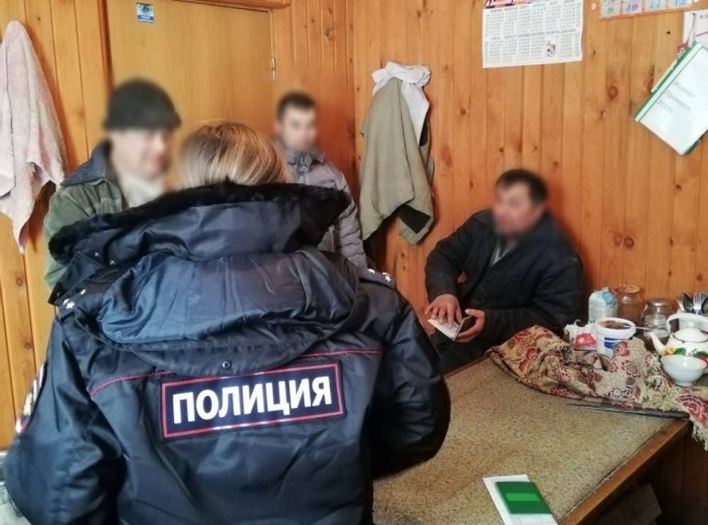 Нелегальных мигрантов нашли полицейские на лесной делянке в Вологодской области