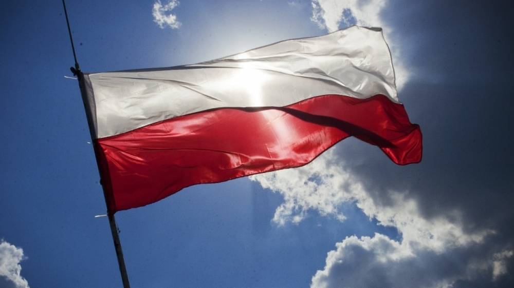 Маркелов рассказал, как Польша пытается «вставить пять копеек» в политику Запада против РФ