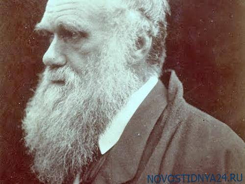 Церковь признала теорию Дарвина