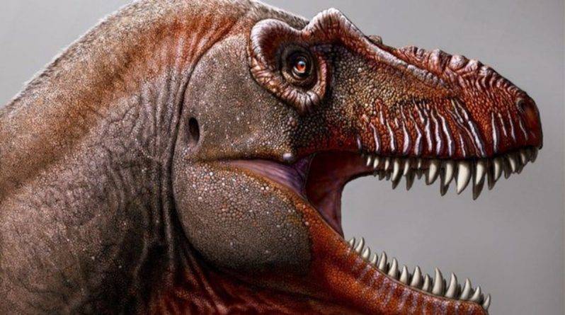 Фермер из Канады раскопал «Жнеца смерти» - ранее неизвестного науке древнего кузена динозавра ти-рекса