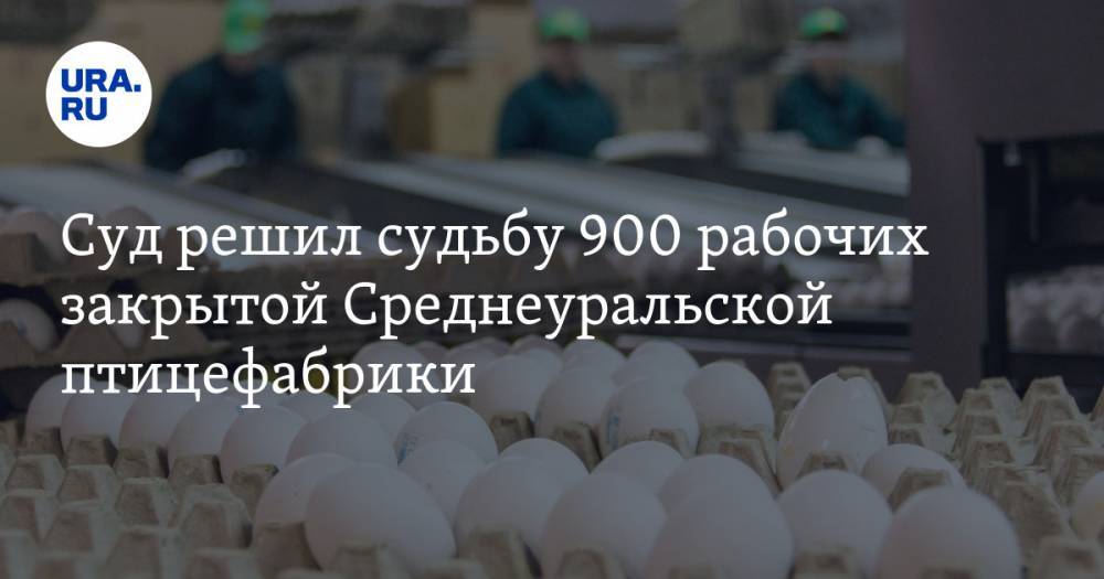 Суд решил судьбу 900 рабочих закрытой Среднеуральской птицефабрики