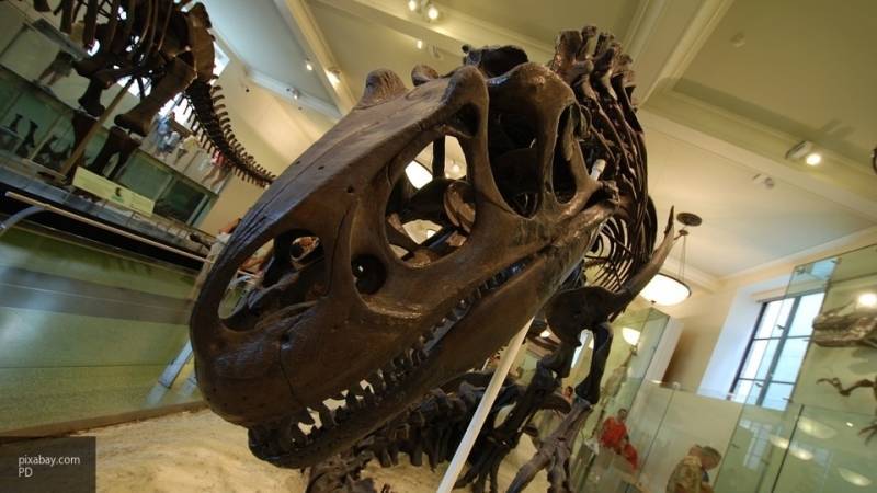 Палеонтологи назвали "Жнецом Смерти" новый вид тираннозавров