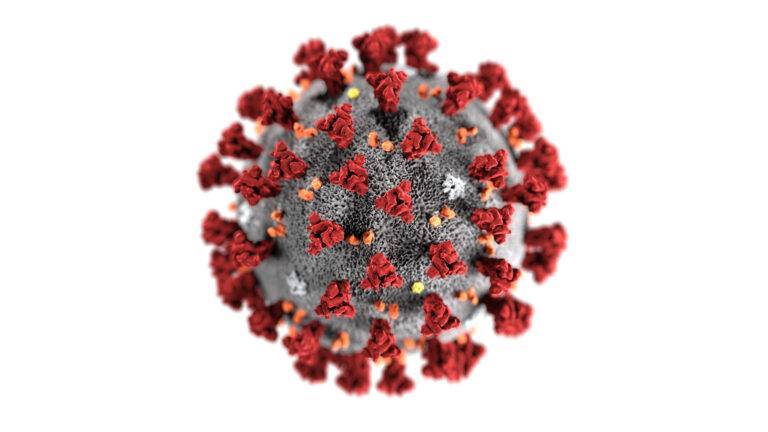 ВОЗ утвердила официальное название нового коронавируса