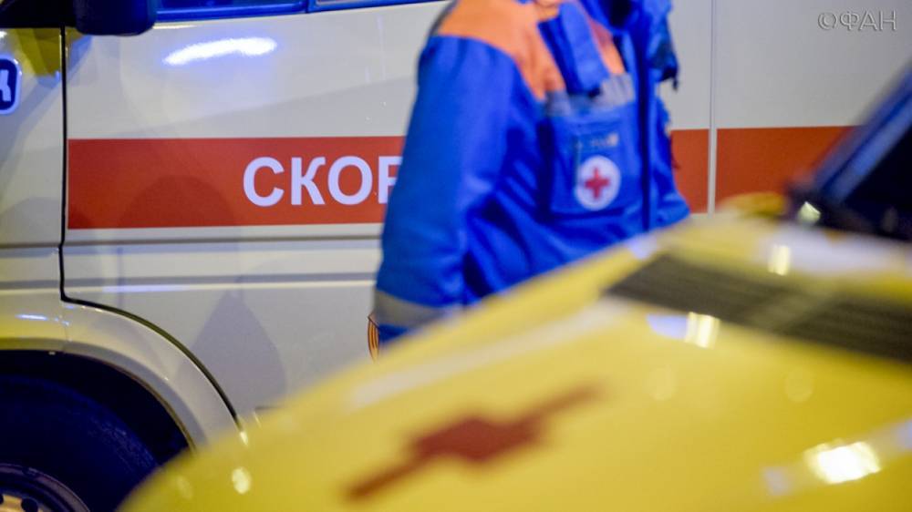 Восемь человек погибли при лобовом столкновении микроавтобуса и фуры в Псковской области