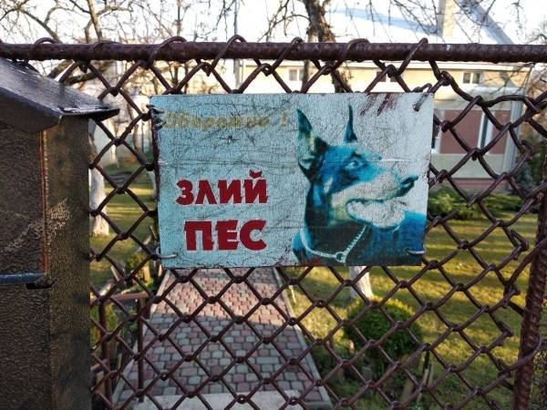 Военные ВСУ научили служебного пса Льда отзываться на лозунг «Слава Украине!»