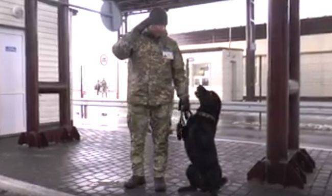 Украинские пограничники научили пса отвечать на бандеровское приветствие