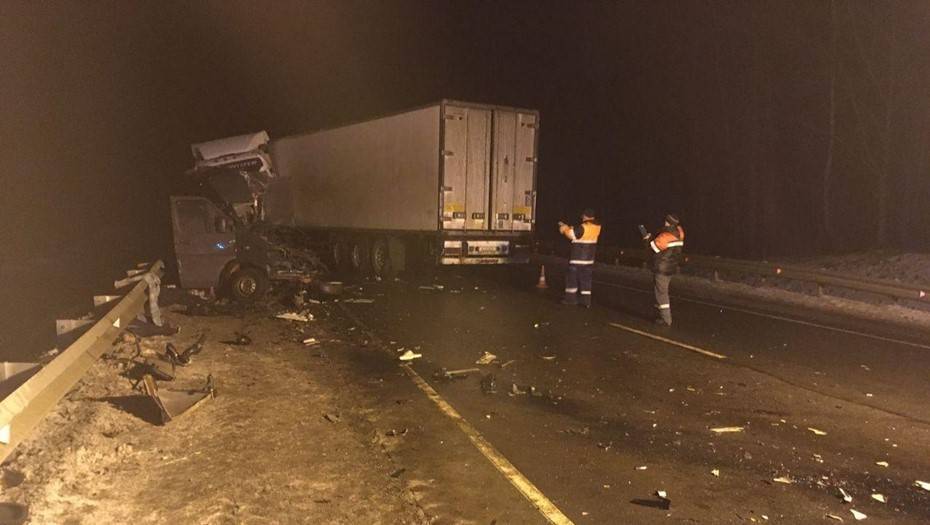 В ДТП с грузовиком и автобусом под Псковом погибли восемь граждан Украины