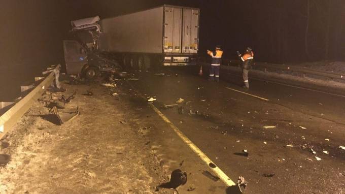 В лобовом ДТП с микроавтобусом и грузовиком в Псковской области погибли 8 украинцев