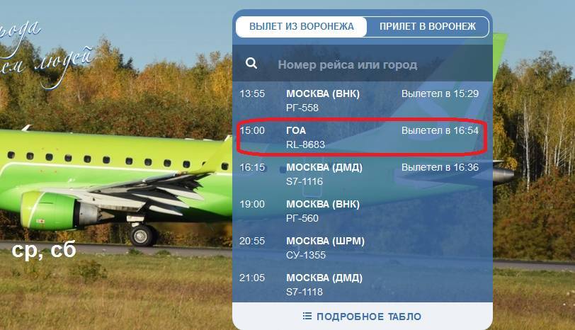 Задержанный почти на 20 часов самолёт на Гоа вылетел из Воронежа