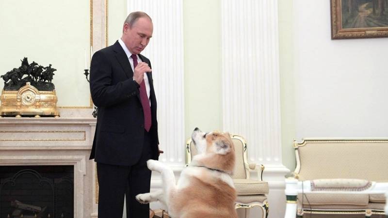 Путин поддержал идею поправки об ответственном отношении к животным