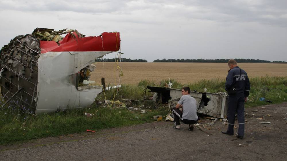 В Совфеде назвали причину отказа Нидерландов передать России производство по делу о MH17