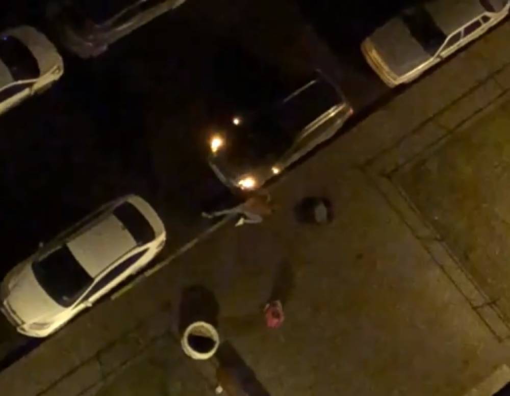 Драка молодых людей разозлила владельца припаркованного авто на Русановской улице