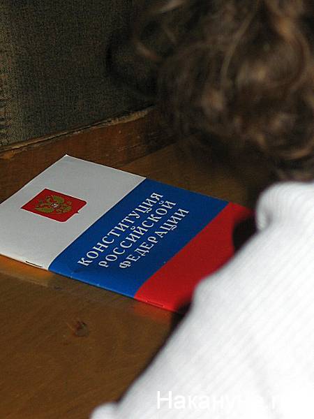 ЦИК создаст мобильное приложение для ознакомления россиян с поправками в Конституцию