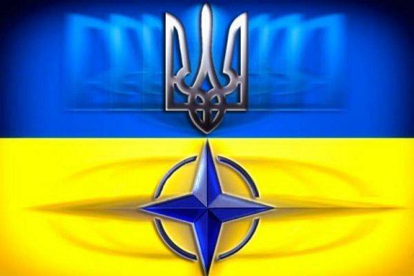 Министр обороны Украины пообещал помочь НАТО в Афганистане и Ираке