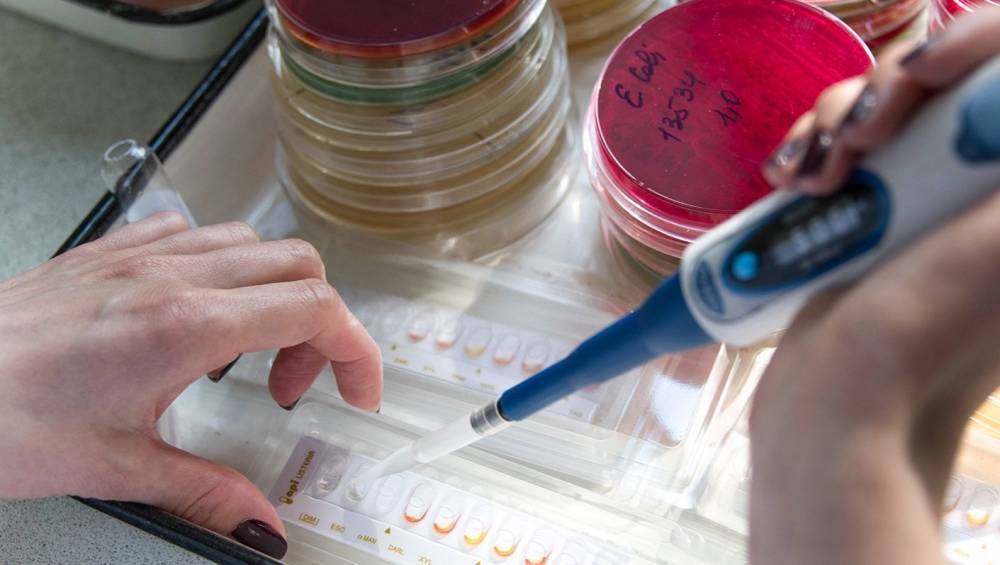Тест-систему для обнаружения коронавируса зарегистрировали в России