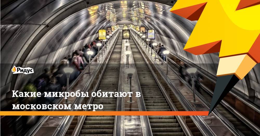 Какие микробы обитают в московском метро