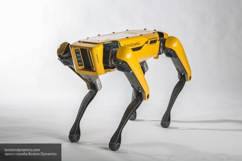 Экс-ведущий "Разрушителей легенд" Сэвидж запряг робота-собаку Spot в рикшу