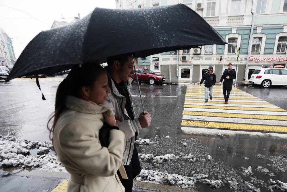 Климатолог сообщил, что зима в Москву уже не вернется
