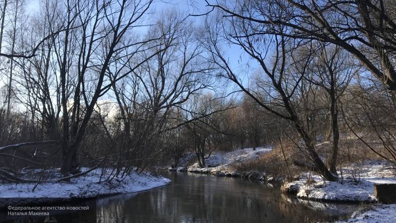 Климатолог заявил, что зима в Москве закончилась безвозвратно