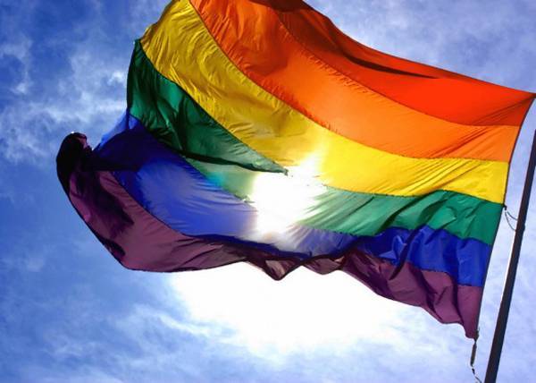 "Единоросс" предложил на конституционном уровне запретить ЛГБТ - в том числе во власти