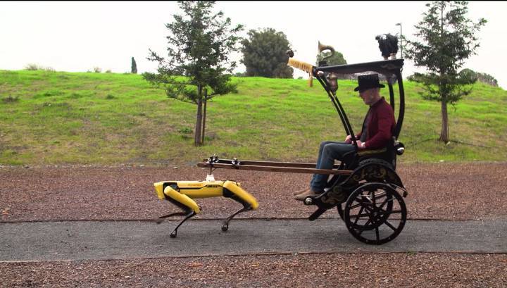 Робопса Boston Dynamics заставили работать рикшей