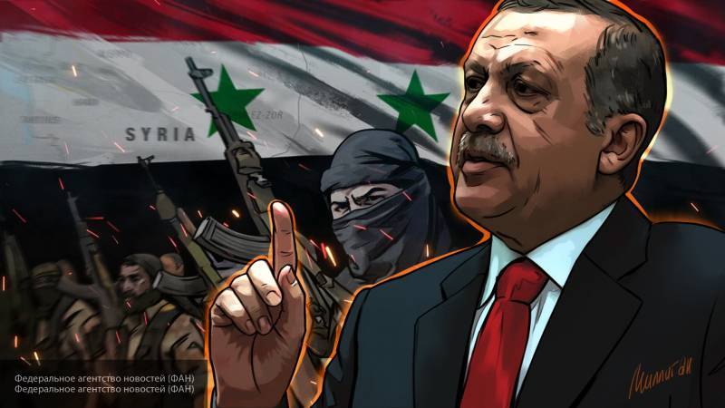 Политолог считает, что Анкара действует в Сирии, нарушая международные нормы