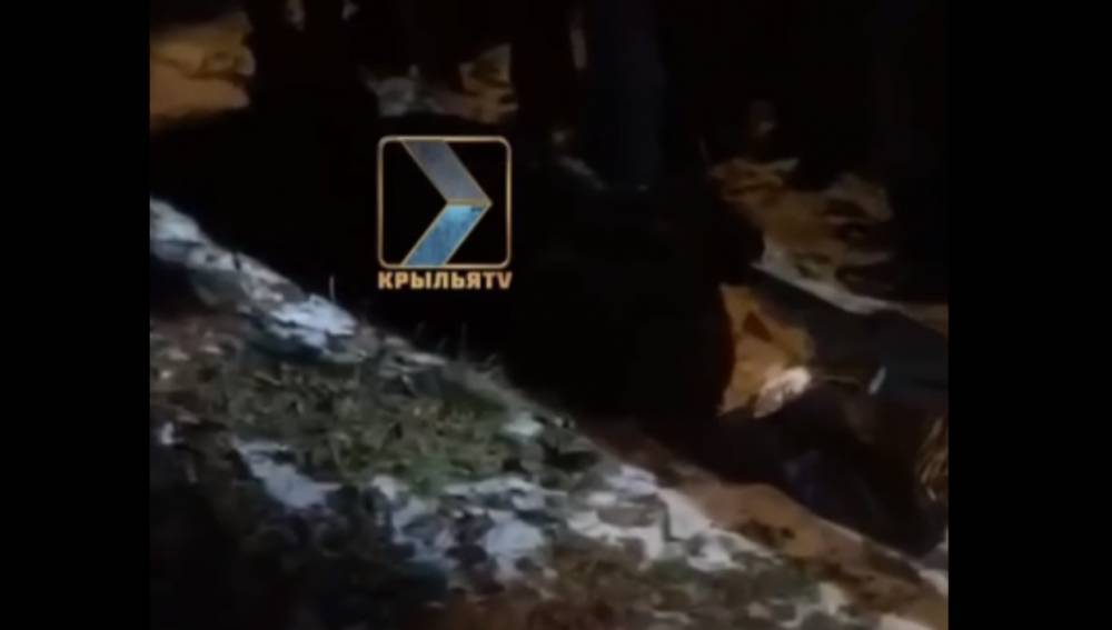 В Северной Осетии на даче экс-прокурора откопали труп его жены с пробитой головой