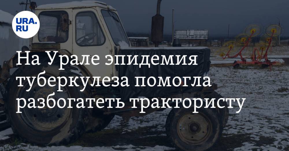 На Урале эпидемия туберкулеза помогла разбогатеть трактористу. Теперь им занимается СК