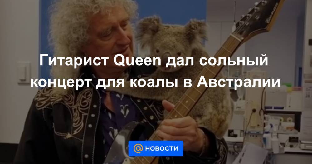 Брайан Мэй - Гитарист Queen дал сольный концерт для коалы в Австралии - news.mail.ru - Австралия