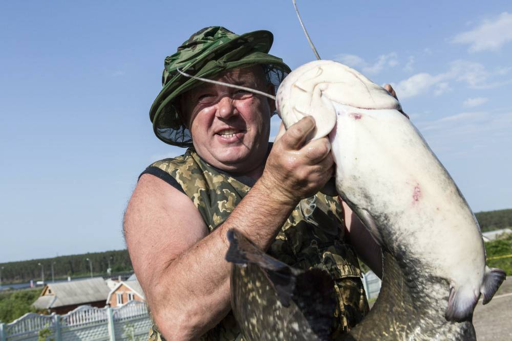 Рыбак в Калининграде вытащил в День всех влюбленных гигантского сома