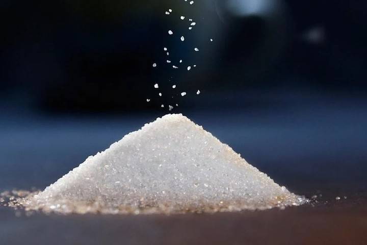 Лукашенко: директора сахарных заводов согласились грузить навоз