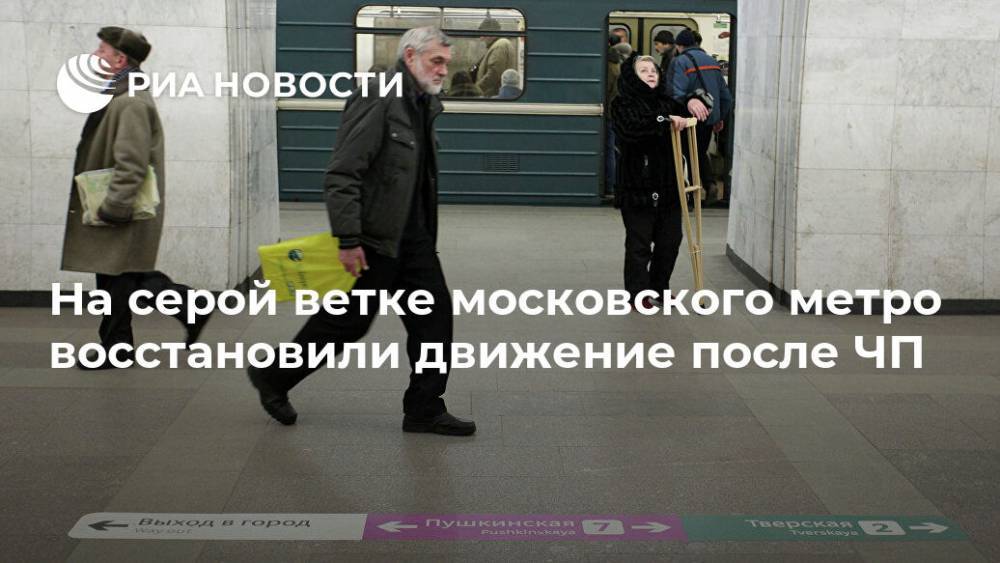 На серой ветке московского метро восстановили движение после ЧП