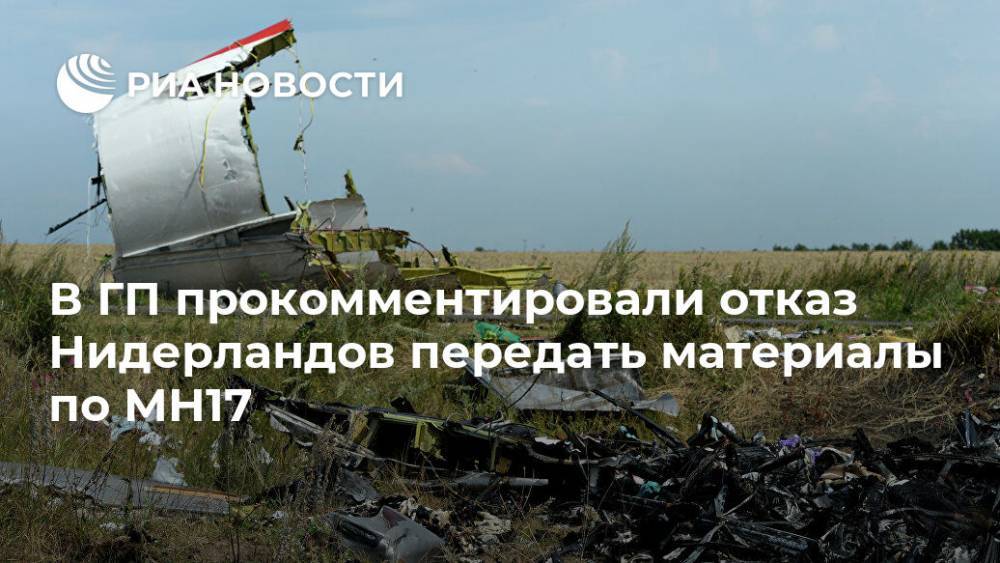 В ГП прокомментировали отказ Нидерландов передать материалы по MH17