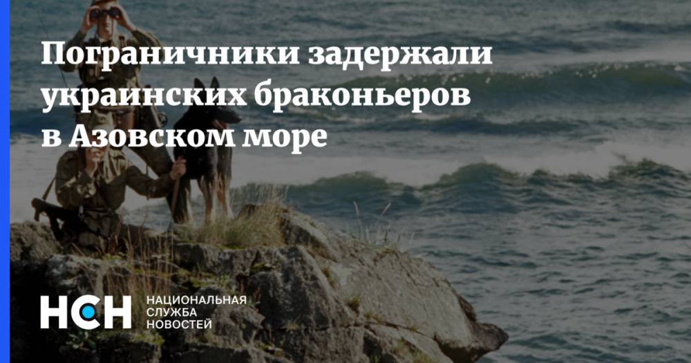 Пограничники задержали украинских браконьеров в Азовском море