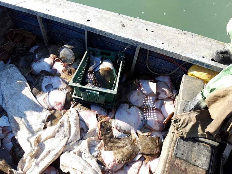 В Азовском море российские пограничники задержали судно с четырьмя браконьерами из Украины