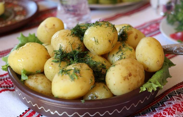 Учёные из Кембриджа доказали безвредность не жареной картошки