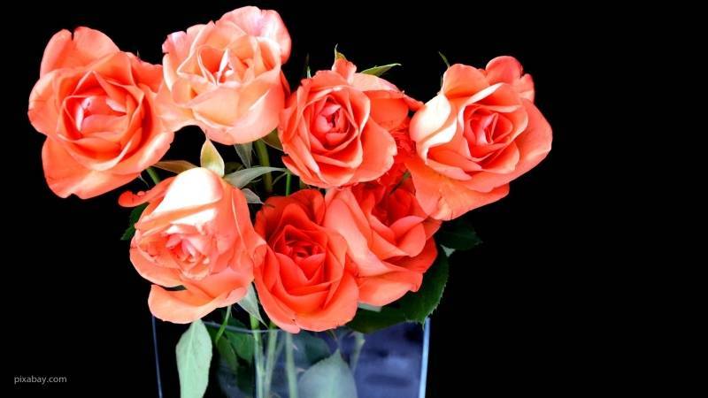 Нулевые продажи в День святого Валентина заставили цветочника в КНР уничтожить сотни роз