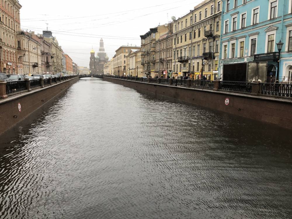 Полицейский спас петербуржца после его падения в канал Грибоедова