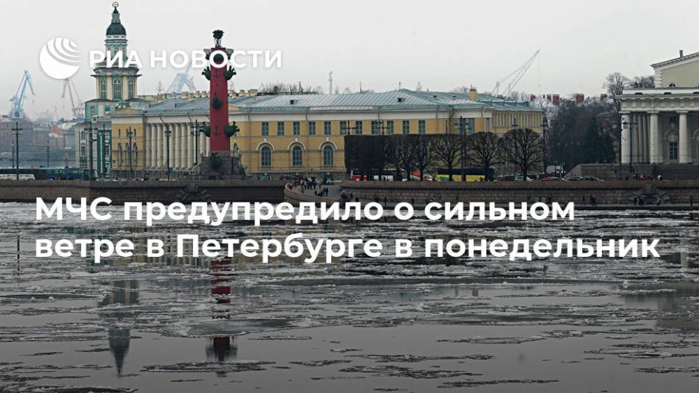 МЧС предупредило о сильном ветре в Петербурге в понедельник
