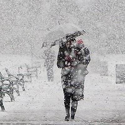 Приморье: Более 40 рейсов междугородних автобусов отменено из-за снегопада