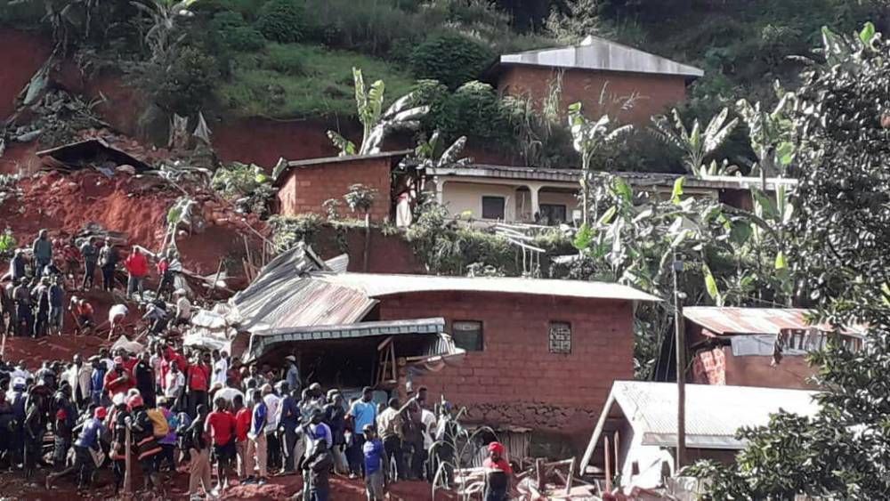 Более 20 человек были убиты во время нападения вооруженных бандитов на деревню в Камеруне