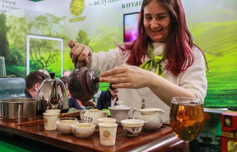 Китайские учёные объяснили противораковый эффект зелёного чая