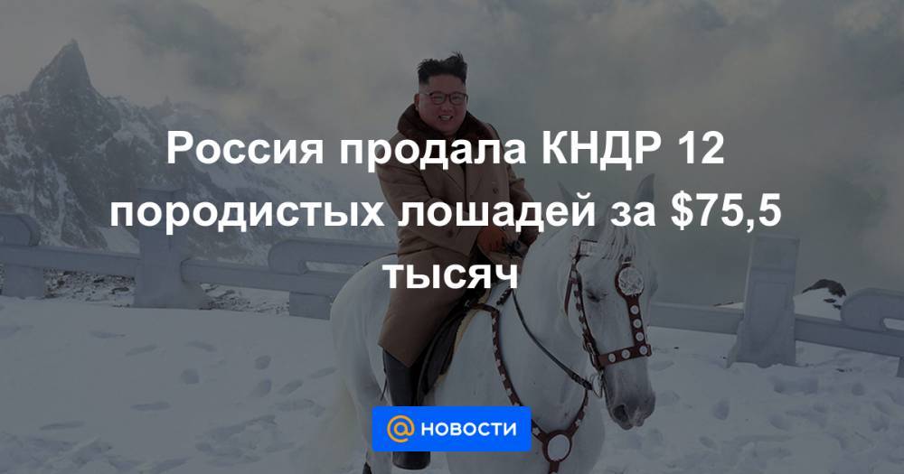 Россия продала КНДР 12 породистых лошадей за $75,5 тысяч