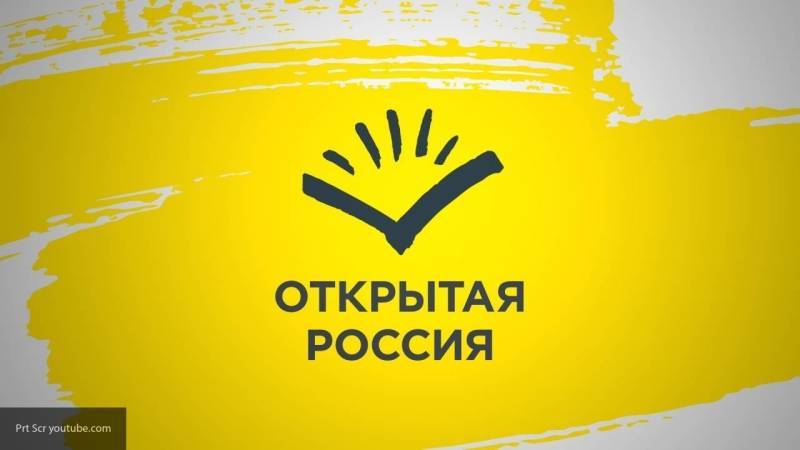 "Открытая Россия" устраивает митинги, чтобы вызвать негатив к поправкам в Конституцию