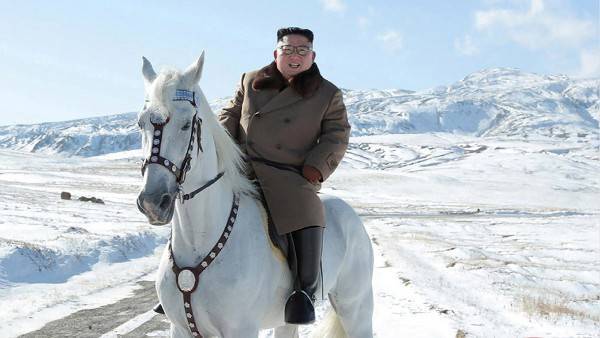 Ким прикупил в России новую партию породистых лошадей