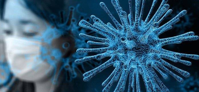 Биологи из Китая назвали источник распространения коронавируса
