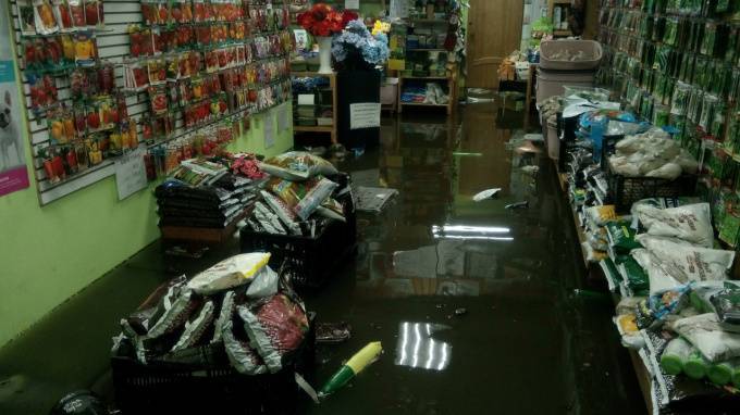 В Приморском районе Петербурге затопило магазин с товарами для дачи