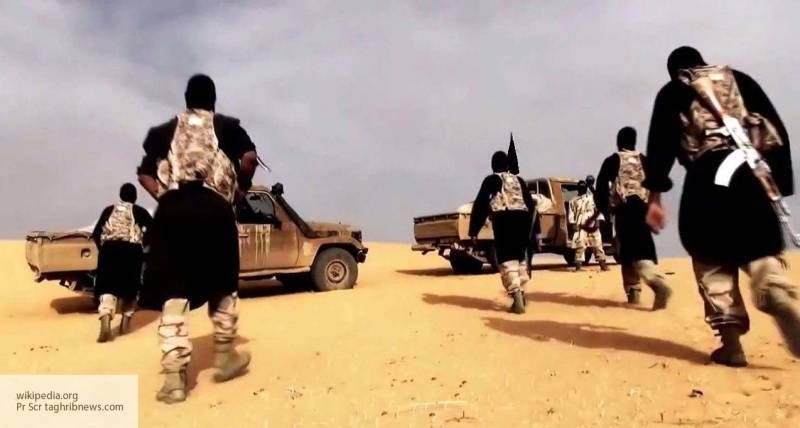 Боевики, похитившие в Ливии граждан РФ, оказались выходцами из «Аль-Каиды»