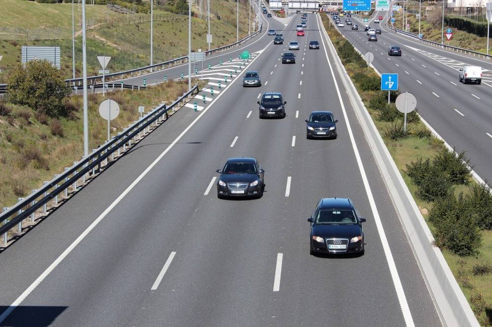 На шоссе в Испании обнаружили сотни мертвых скворцов - Cursorinfo: главные новости Израиля