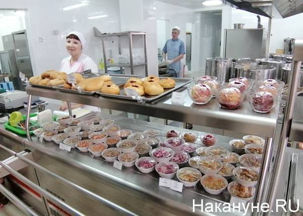 Госдума одобрила выделение средств на горячее питание для всех школьников младших классов : Новости Накануне.RU